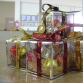 Coklat Inang Suri