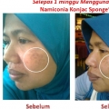 Konjac Sponge
