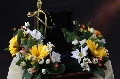 Cantiquemanis.com