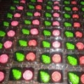 Ayu Redz Chocos