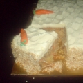 Emma Cake & Cupcakes