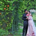 Johor Photographer