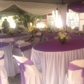 City Nur Canopy Dan Ketering