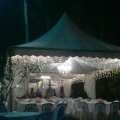 Wedding Servis