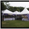 Nabira Canopy