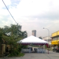 Rosa Canopy