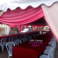 Gse Canopy