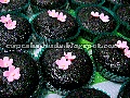 Cupcake Huda