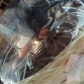 Choccherre Enterprise