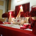 Z A N O C C H I Wedding Couture . Creation