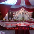 Hairy Canopy Services