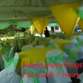 Hairy Canopy Services