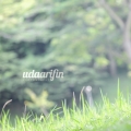 Uda Arifin Photography
