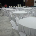 Udin Canopy Services