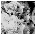 Meorsalleh Photography