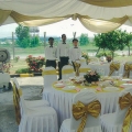 Experience Wedding