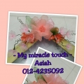 My Miracle Touch