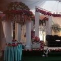 Zara Wedding Concept