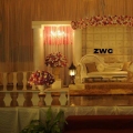Zara Wedding Concept