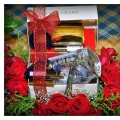 Hantaran Jelita