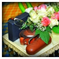 Hantaran Jelita