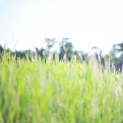 Anuarhussin Photography