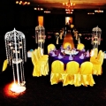 Miztaotine Studio Wedding & Couture 