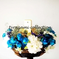 Tyrazami Collection