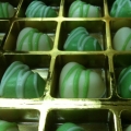 Sweetchoclate4u