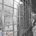 Picturesque Photo Studio