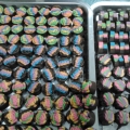 Coklat Handmade  