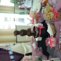 Chocolate Fountain Tiny