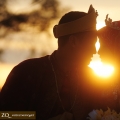 Nuzul Taufiq Art - Photography