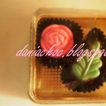 Daniachoc
