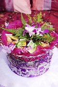 Qasehlyana