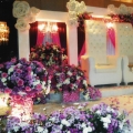 Dtulip Wedding House (butik Andaman)