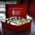Fruit Rebel By Sapientra Resources Sdn Bhd