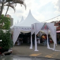 Ameeza Canopy