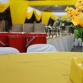 Zafran Canopy