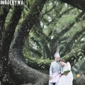 Image By Wa