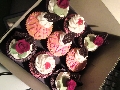 Cute Cupcakes