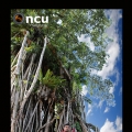 Oncu Photography