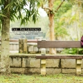 The Photofrenzy