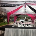 Danish Canopy