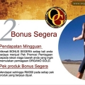 Organo Gold Sabah