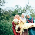 Photoseenthesis Photography