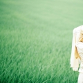 Photoseenthesis Photography