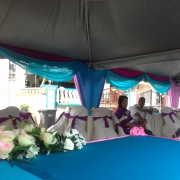 Ann Nur  Canopy