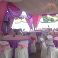 Canopy Aliaaliana Special Price