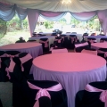 Canopy Aliaaliana Special Price